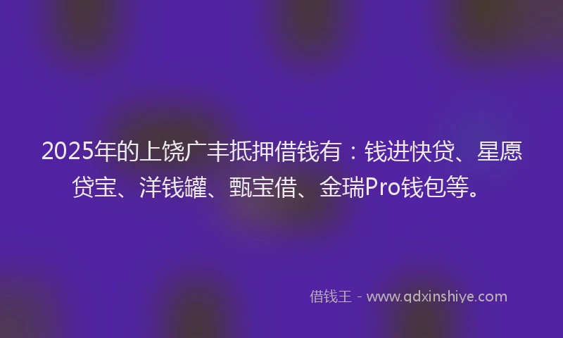 2025年的上饶广丰抵押借钱有：钱进快贷、星愿贷宝、洋钱罐、甄宝借、金瑞Pro钱包等。