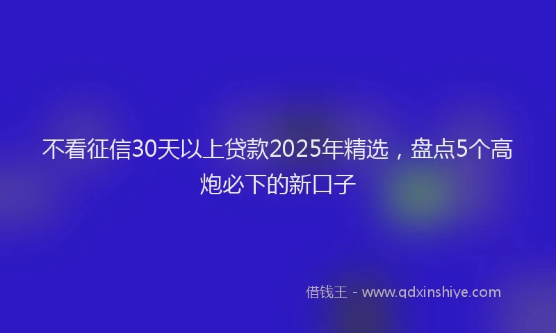 不看征信30天以上贷款2025年精选，盘点5个高炮必下的新口子