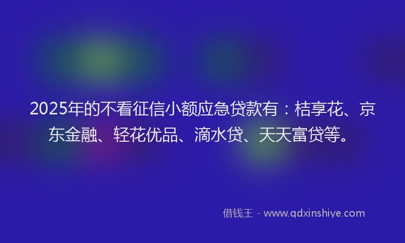 2025年的不看征信小额应急贷款有：桔享花、京东金融、轻花优品、滴水贷、天天富贷等。