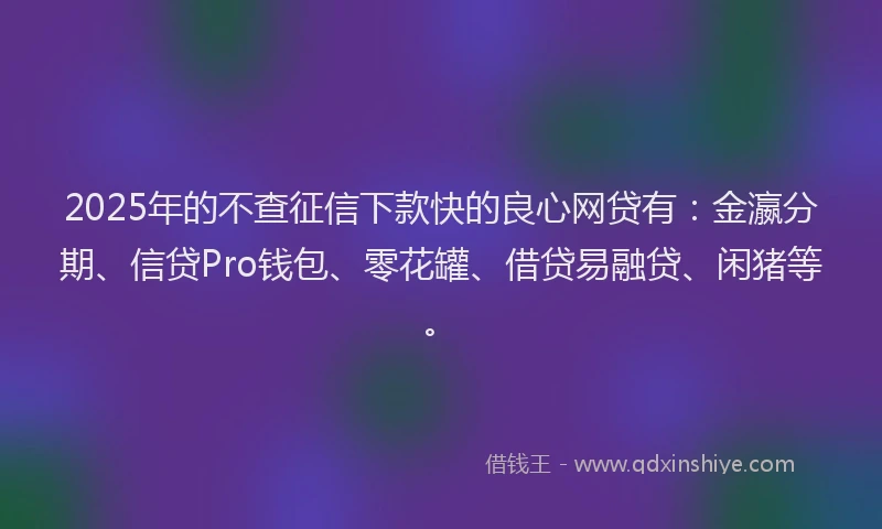 2025年的不查征信下款快的良心网贷有：金瀛分期、信贷Pro钱包、零花罐、借贷易融贷、闲猪等。