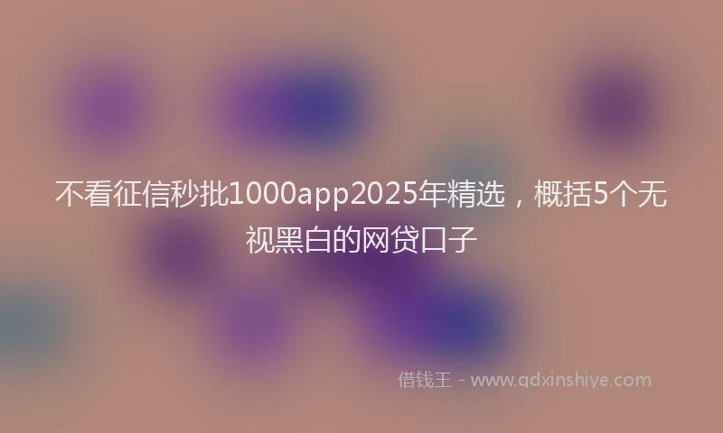 不看征信秒批1000app2025年精选，概括5个无视黑白的网贷口子