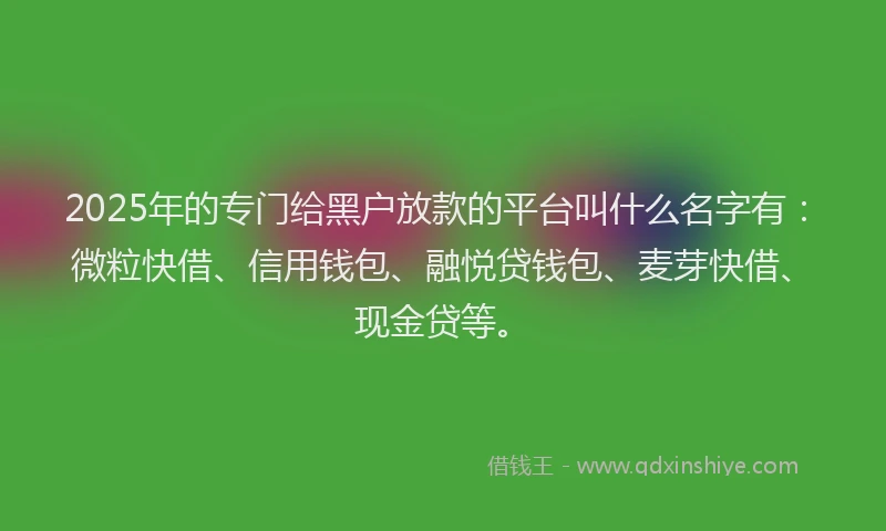 2025年的专门给黑户放款的平台叫什么名字有：微粒快借、信用钱包、融悦贷钱包、麦芽快借、现金贷等。