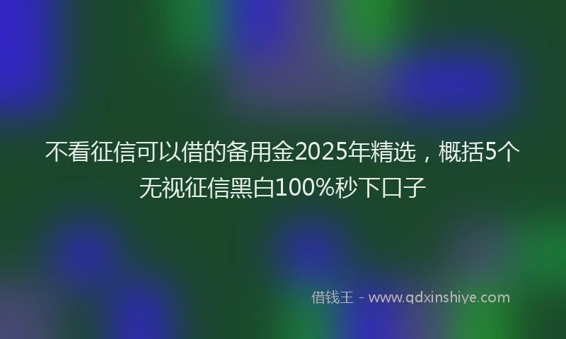 不看征信可以借的备用金2025年精选，概括5个无视征信黑白100%秒下口子