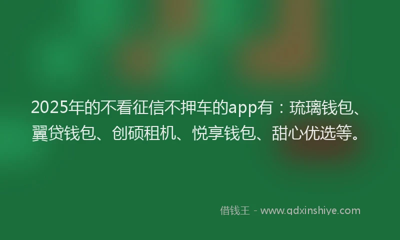 2025年的不看征信不押车的app有：琉璃钱包、翼贷钱包、创硕租机、悦享钱包、甜心优选等。