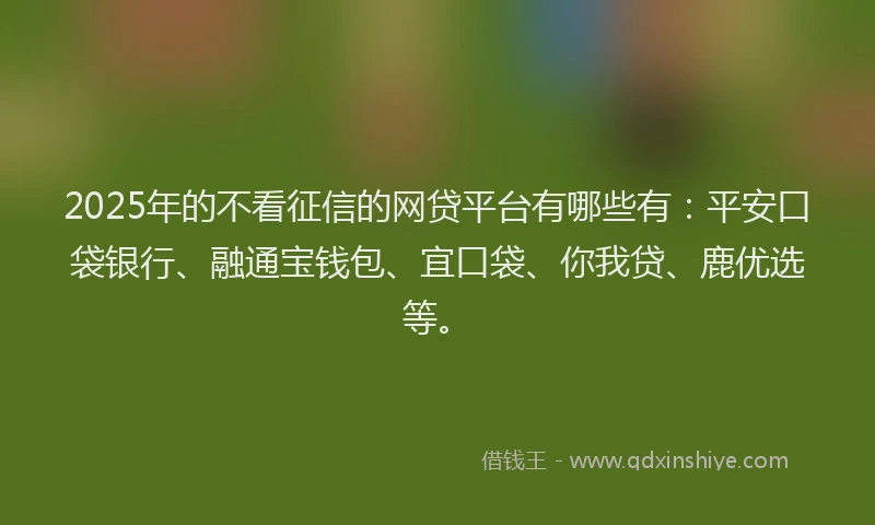 2025年的不看征信的网贷平台有哪些有：平安口袋银行、融通宝钱包、宜口袋、你我贷、鹿优选等。