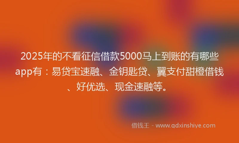 2025年的不看征信借款5000马上到账的有哪些app有：易贷宝速融、金钥匙贷、翼支付甜橙借钱、好优选、现金速融等。