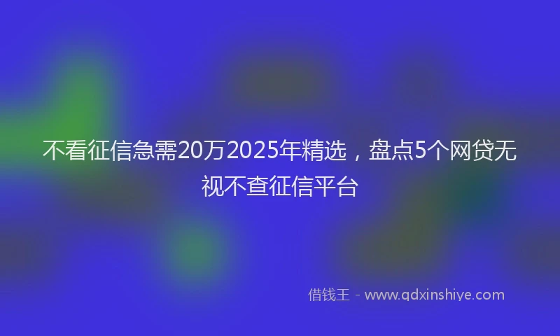 不看征信急需20万2025年精选，盘点5个网贷无视不查征信平台