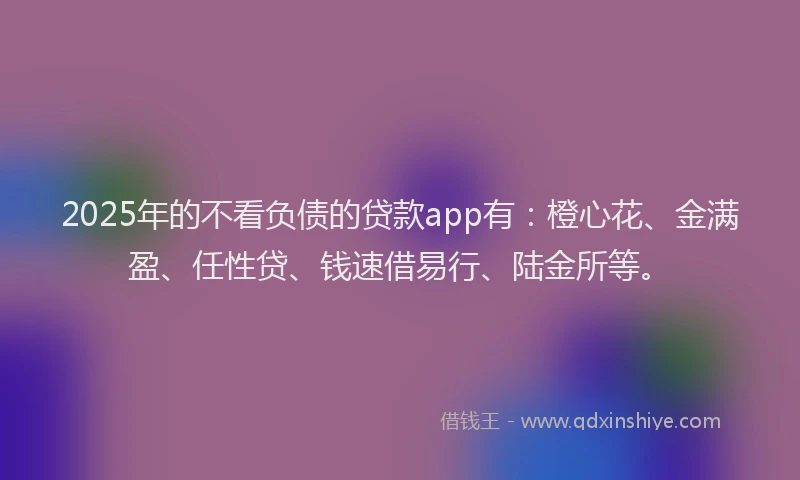 2025年的不看负债的贷款app有：橙心花、金满盈、任性贷、钱速借易行、陆金所等。