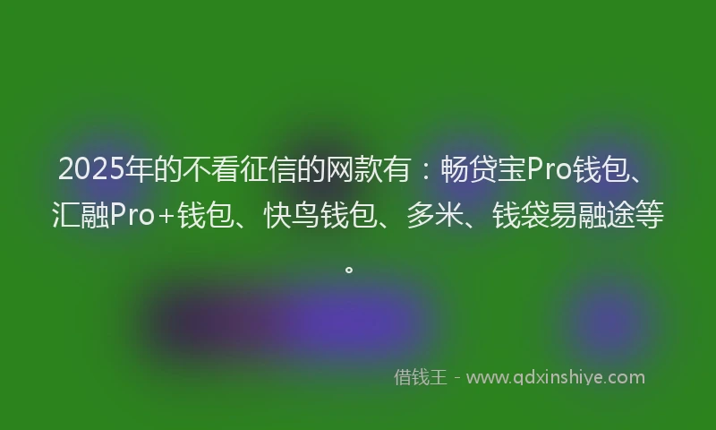 2025年的不看征信的网款有：畅贷宝Pro钱包、汇融Pro+钱包、快鸟钱包、多米、钱袋易融途等。