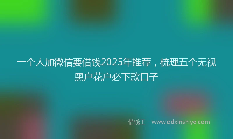 一个人加微信要借钱2025年推荐，梳理五个无视黑户花户必下款口子
