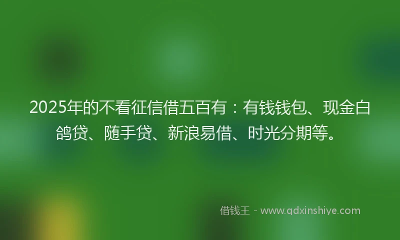 2025年的不看征信借五百有：有钱钱包、现金白鸽贷、随手贷、新浪易借、时光分期等。