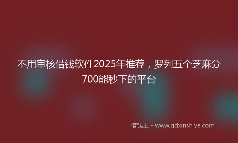 不用审核借钱软件2025年推荐，罗列五个芝麻分700能秒下的平台