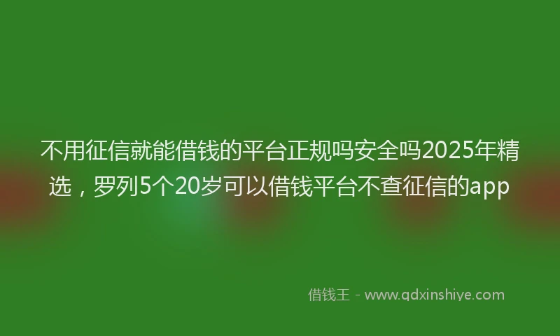不用征信就能借钱的平台正规吗安全吗2025年精选，罗列5个20岁可以借钱平台不查征信的app
