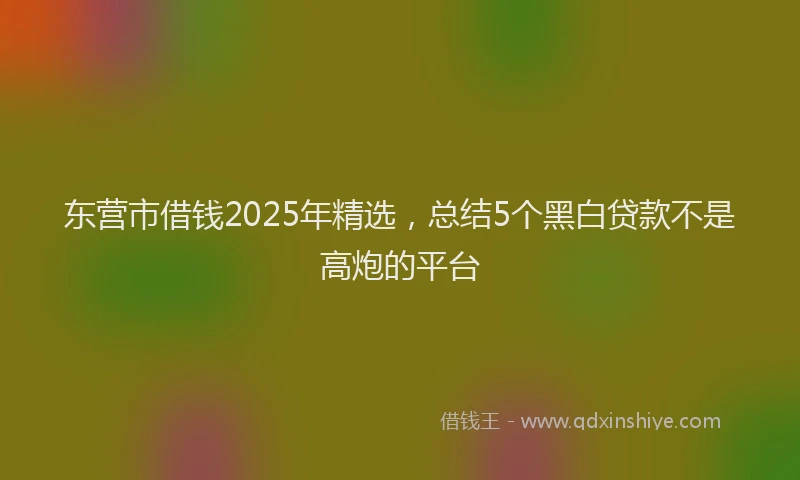 东营市借钱2025年精选，总结5个黑白贷款不是高炮的平台