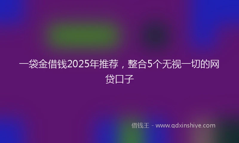 一袋金借钱2025年推荐，整合5个无视一切的网贷口子