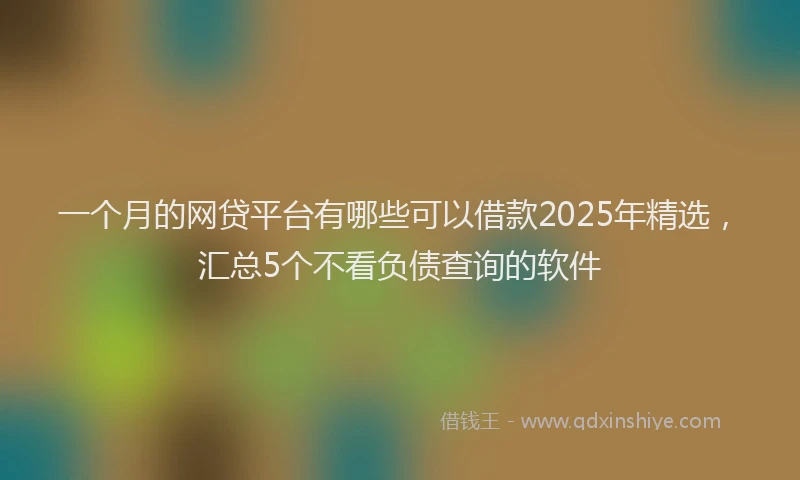 一个月的网贷平台有哪些可以借款2025年精选，汇总5个不看负债查询的软件