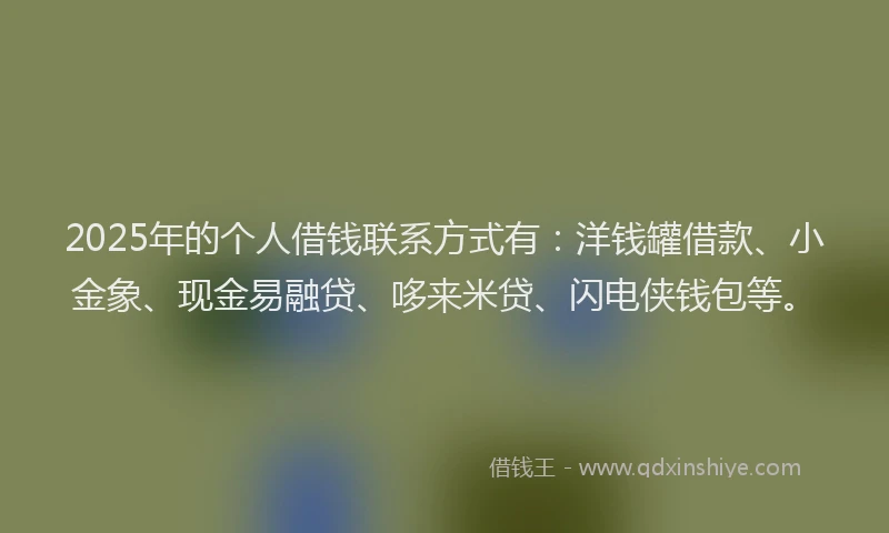 2025年的个人借钱联系方式有：洋钱罐借款、小金象、现金易融贷、哆来米贷、闪电侠钱包等。