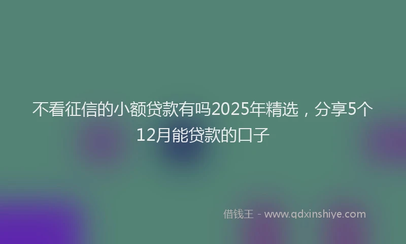 不看征信的小额贷款有吗2025年精选,分享5个12月能贷款的口子