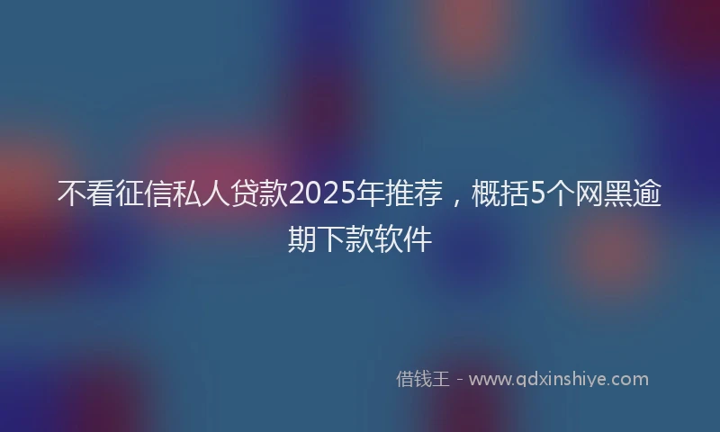 不看征信私人贷款2025年推荐，概括5个网黑逾期下款软件