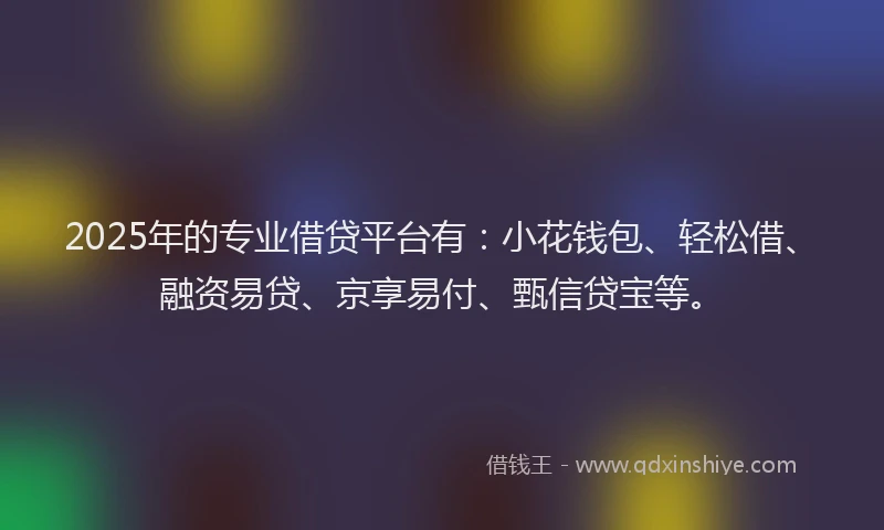 2025年的专业借贷平台有：小花钱包、轻松借、融资易贷、京享易付、甄信贷宝等。