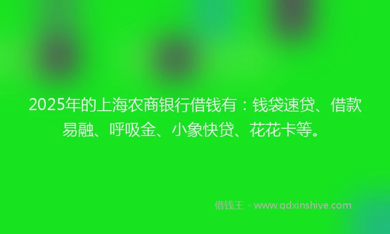 2025年的上海农商银行借钱有：钱袋速贷、借款易融、呼吸金、小象快贷、花花卡等。