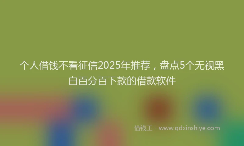 个人借钱不看征信2025年推荐，盘点5个无视黑白百分百下款的借款软件
