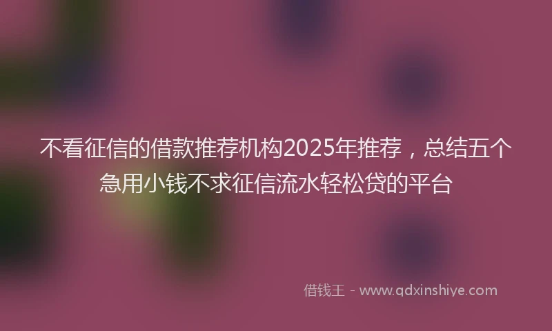 不看征信的借款推荐机构2025年推荐，总结五个急用小钱不求征信流水轻松贷的平台