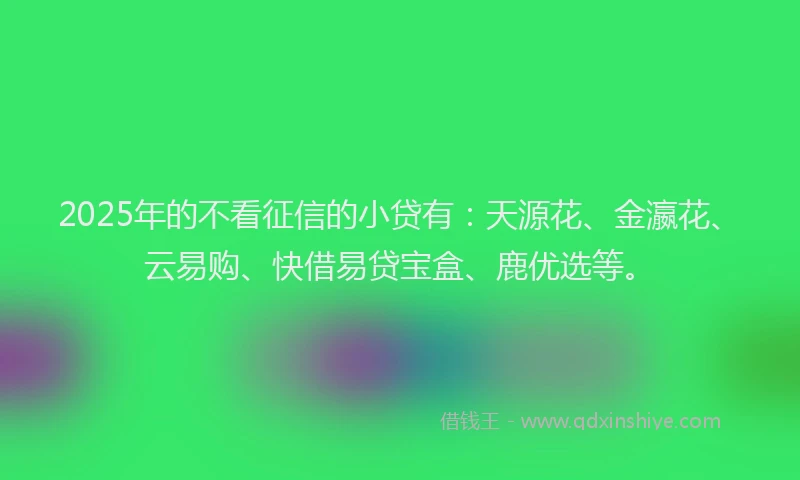 2025年的不看征信的小贷有：天源花、金瀛花、云易购、快借易贷宝盒、鹿优选等。