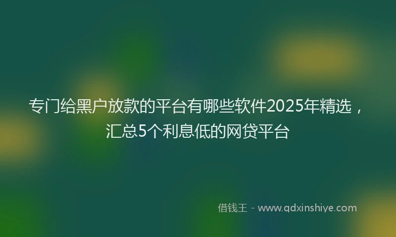 专门给黑户放款的平台有哪些软件2025年精选，汇总5个利息低的网贷平台