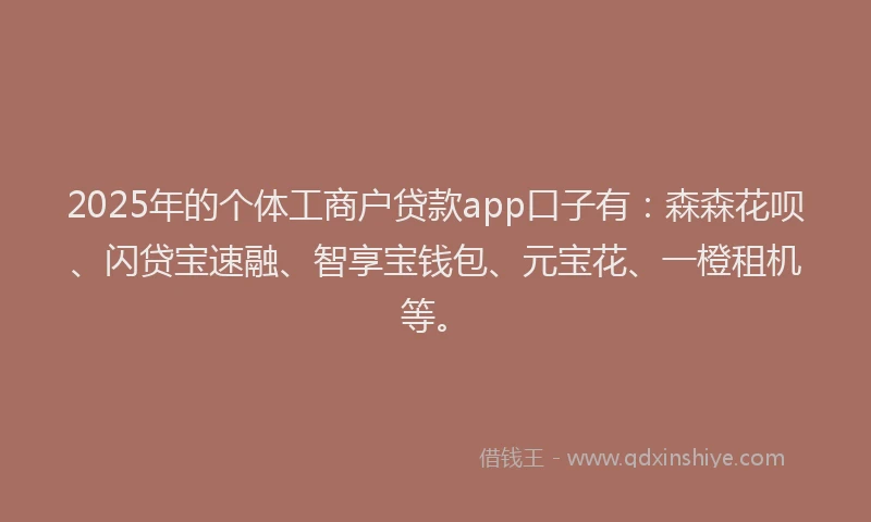 2025年的个体工商户贷款app口子有：森森花呗、闪贷宝速融、智享宝钱包、元宝花、一橙租机等。