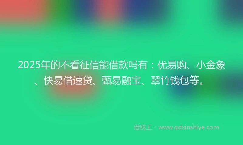 2025年的不看征信能借款吗有：优易购、小金象、快易借速贷、甄易融宝、翠竹钱包等。