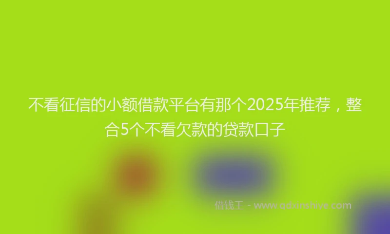 不看征信的小额借款平台有那个2025年推荐，整合5个不看欠款的贷款口子