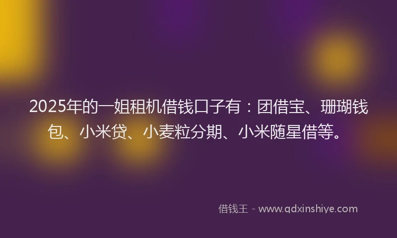 2025年的一姐租机借钱口子有：团借宝、珊瑚钱包、小米贷、小麦粒分期、小米随星借等。