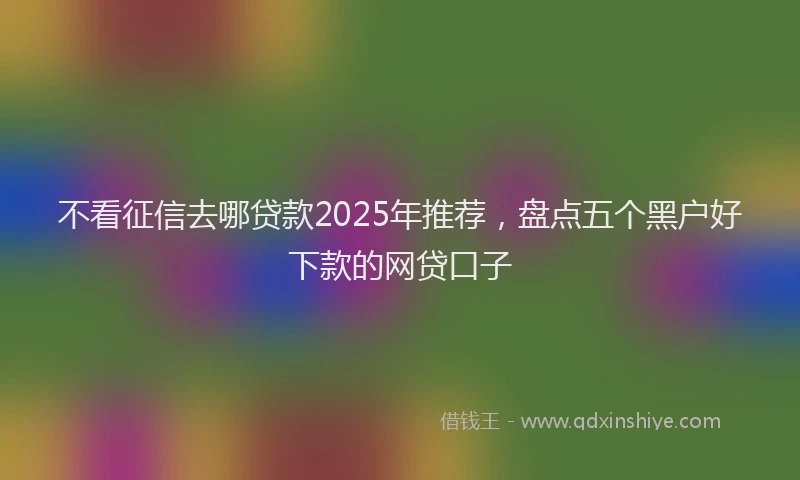 不看征信去哪贷款2025年推荐，盘点五个黑户好下款的网贷口子
