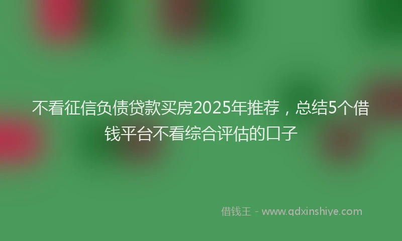 不看征信负债贷款买房2025年推荐，总结5个借钱平台不看综合评估的口子