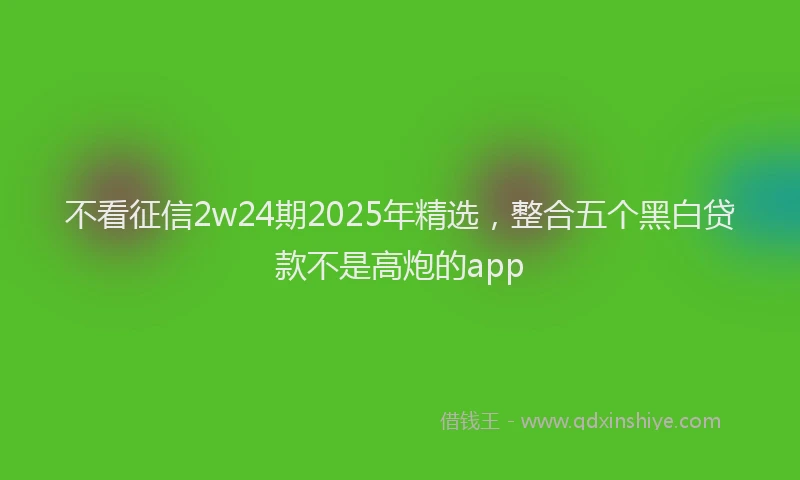 不看征信2w24期2025年精选，整合五个黑白贷款不是高炮的app