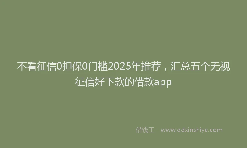 不看征信0担保0门槛2025年推荐，汇总五个无视征信好下款的借款app
