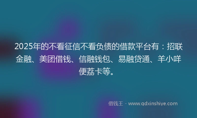 2025年的不看征信不看负债的借款平台有：招联金融、美团借钱、信融钱包、易融贷通、羊小咩便荔卡等。