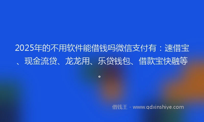 2025年的不用软件能借钱吗微信支付有：速借宝、现金流贷、龙龙用、乐贷钱包、借款宝快融等。