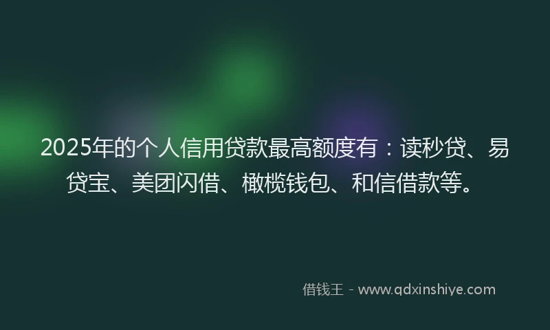 2025年的个人信用贷款最高额度有：读秒贷、易贷宝、美团闪借、橄榄钱包、和信借款等。