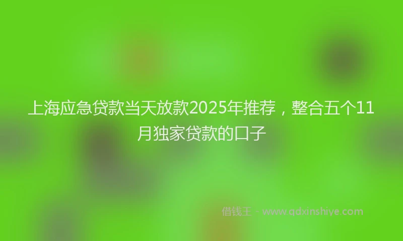 上海应急贷款当天放款2025年推荐，整合五个11月独家贷款的口子