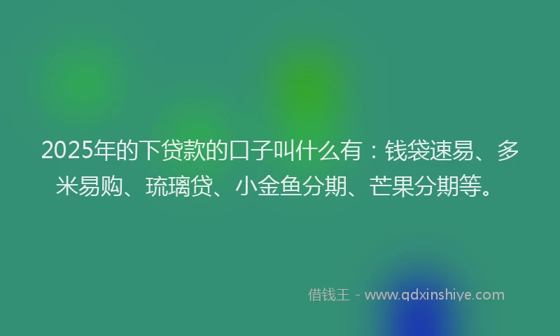2025年的下贷款的口子叫什么有：钱袋速易、多米易购、琉璃贷、小金鱼分期、芒果分期等。