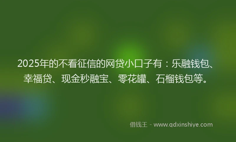 2025年的不看征信的网贷小口子有：乐融钱包、幸福贷、现金秒融宝、零花罐、石榴钱包等。