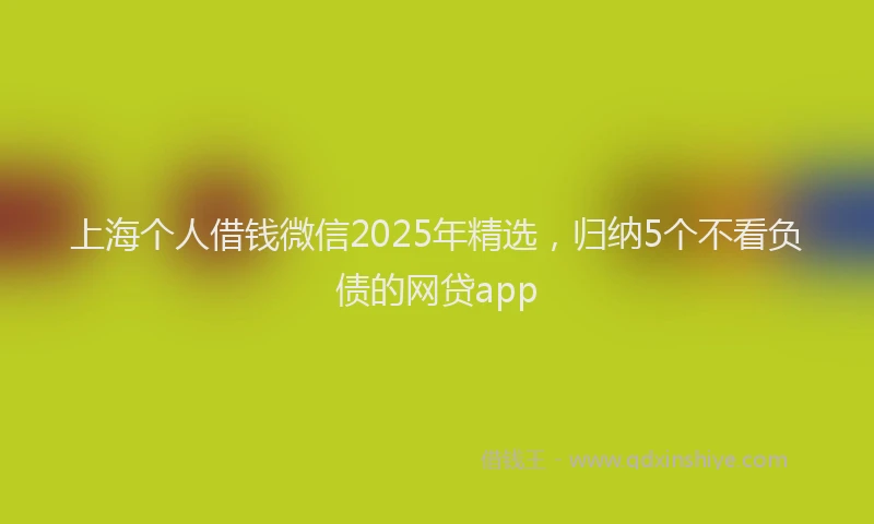 上海个人借钱微信2025年精选，归纳5个不看负债的网贷app