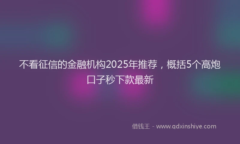 不看征信的金融机构2025年推荐，概括5个高炮口子秒下款最新
