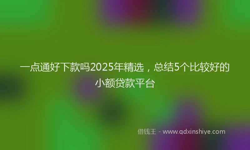 一点通好下款吗2025年精选，总结5个比较好的小额贷款平台