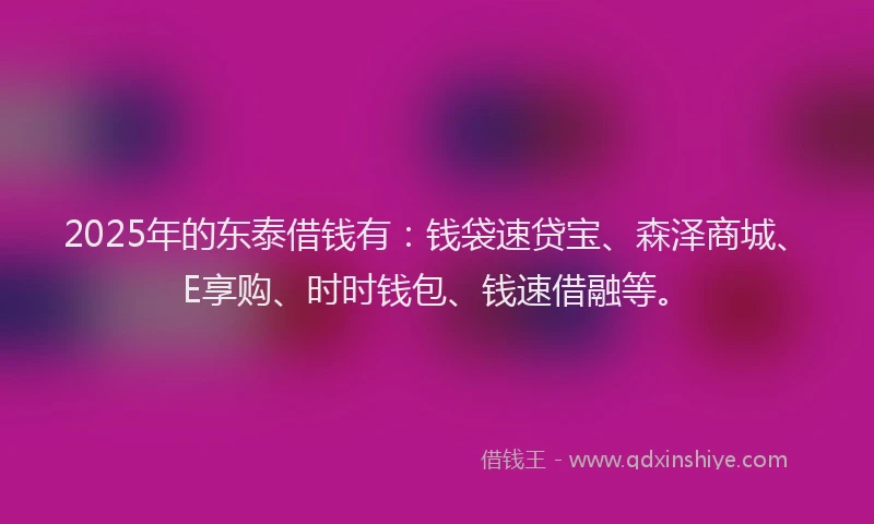 2025年的东泰借钱有：钱袋速贷宝、森泽商城、E享购、时时钱包、钱速借融等。