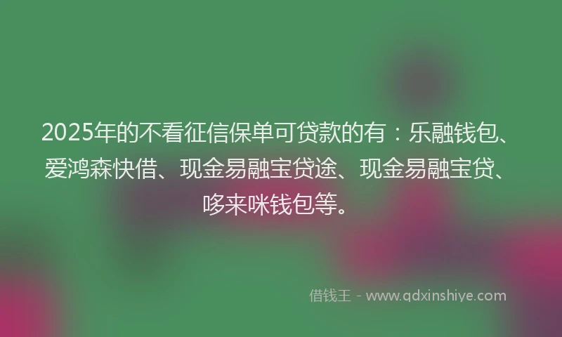 2025年的不看征信保单可贷款的有：乐融钱包、爱鸿森快借、现金易融宝贷途、现金易融宝贷、哆来咪钱包等。