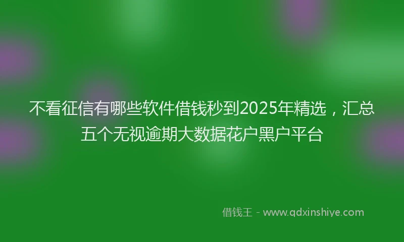 不看征信有哪些软件借钱秒到2025年精选，汇总五个无视逾期大数据花户黑户平台
