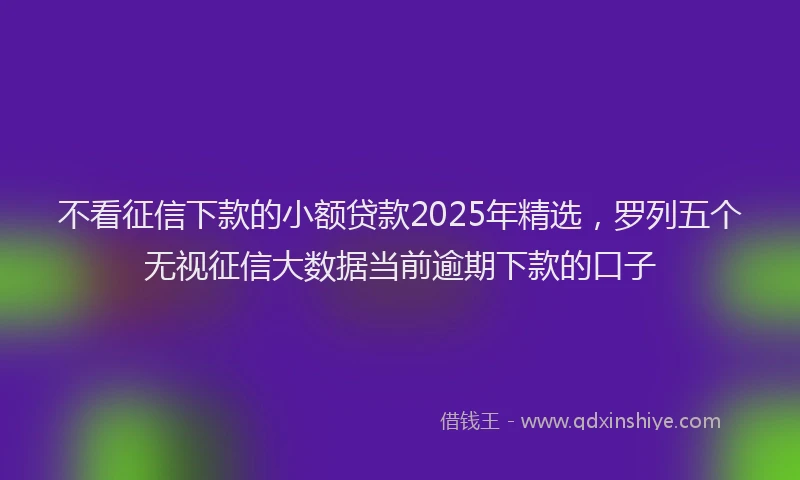 不看征信下款的小额贷款2025年精选，罗列五个无视征信大数据当前逾期下款的口子